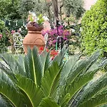 Vakantiehuis Annali - Shabby Style Nella Natura