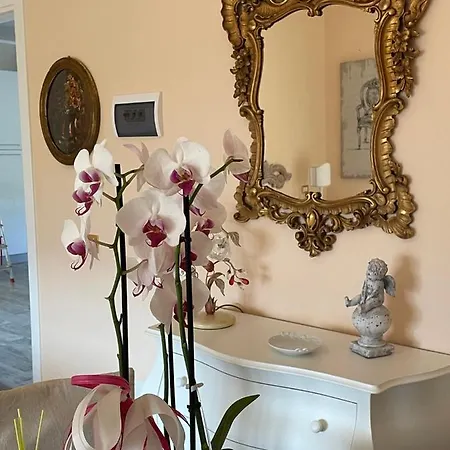 Annali - Shabby Style Nella Natura * La Spezia