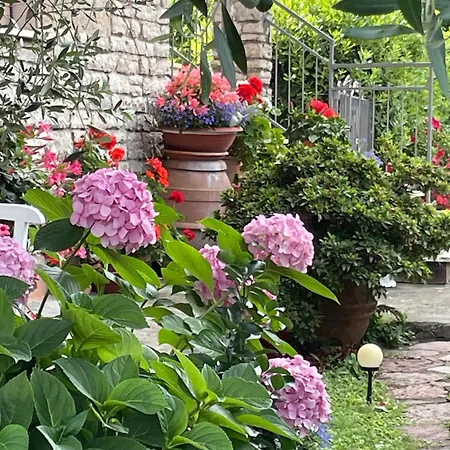 Annali - Shabby Style Nella Natura * La Spezia