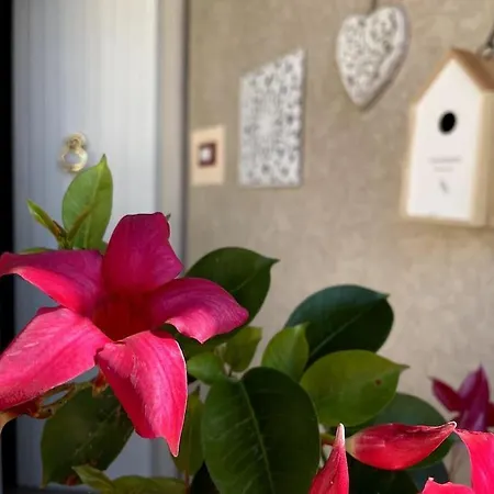 別荘 Annali - Shabby Style Nella Natura ラ・スペツィア