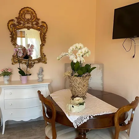 Annali - Shabby Style Nella Natura