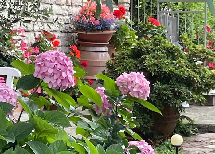 Annali - Shabby Style Nella Natura * La Spezia